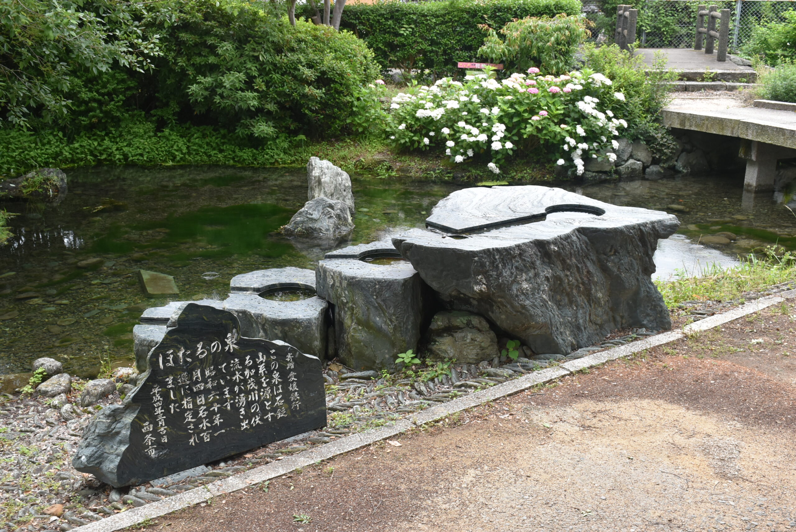 もっさんぽ第11弾】台風一過に咲く紫陽花 in ほたるの里 - 【LOVE
